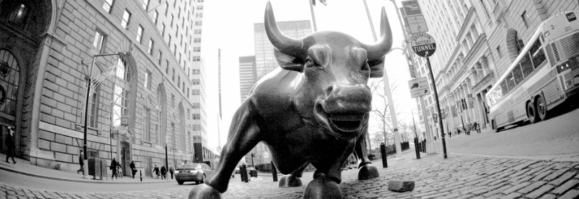 Cégalapítás és cégképviselet